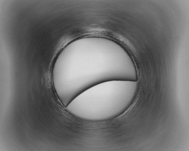 X0000116431362200912081212