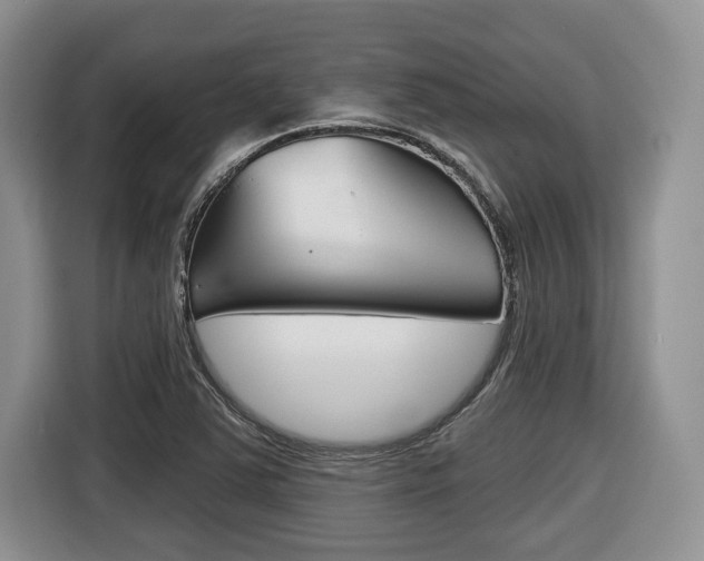 X0000116431363200912081212