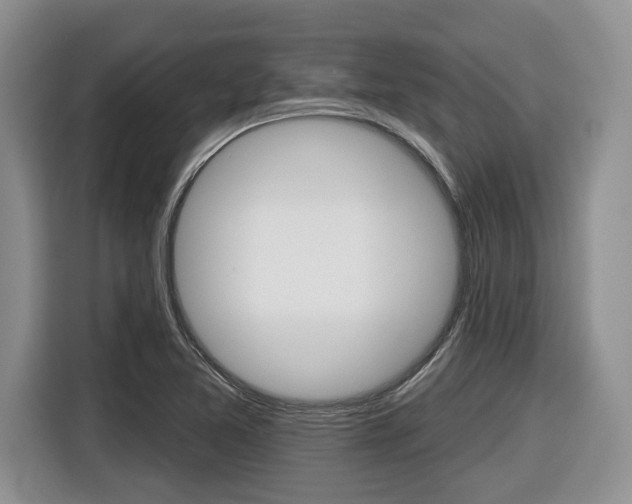 X0000116431365200912081212