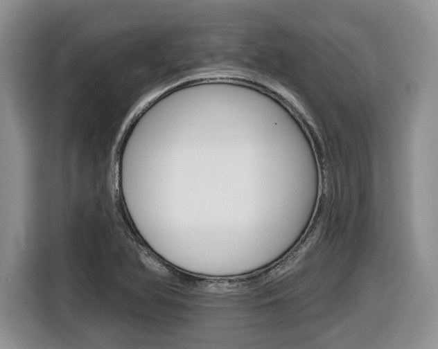 X0000116431366200912081212