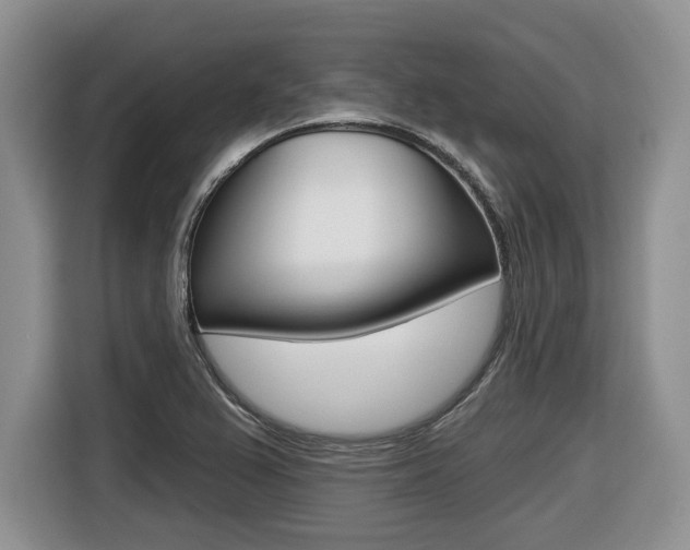 X0000116431367200912081212