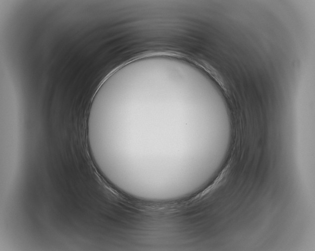 X0000116431369200912081212