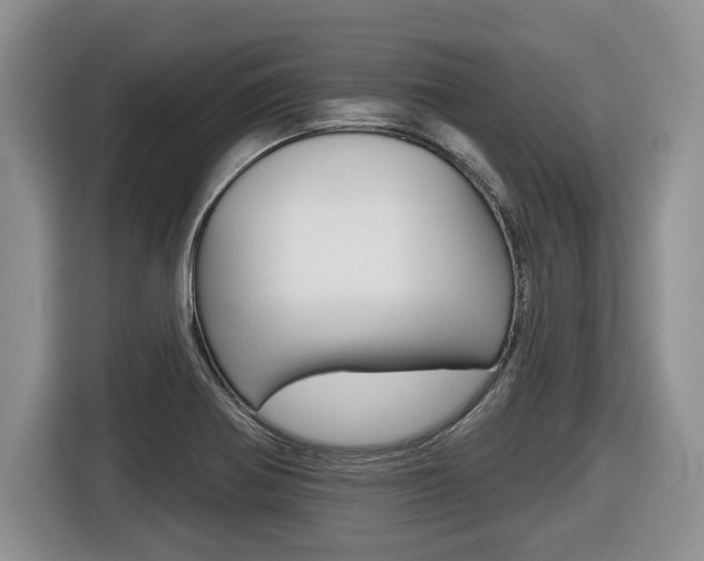 X0000116431370200912081212