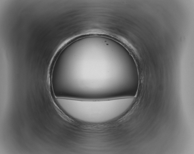 X0000116431372200912081212