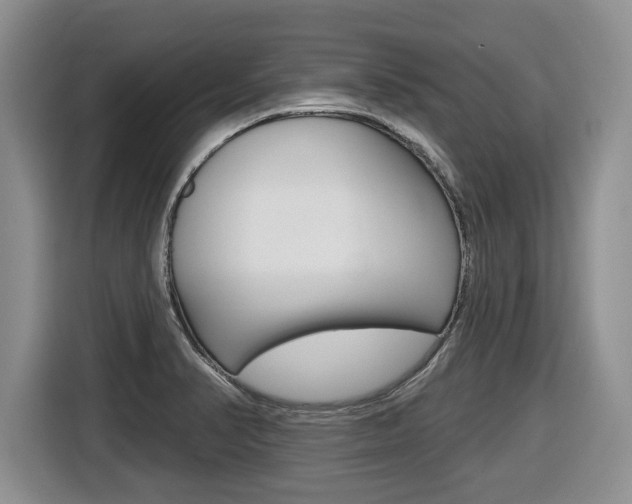 X0000116431374200912081212