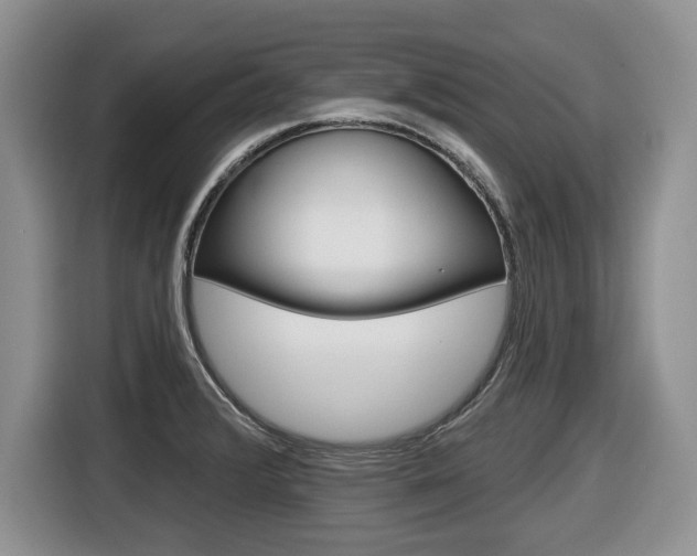 X0000116431376200912081212