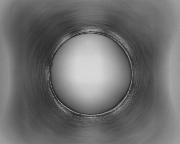 X0000116431377200912081212
