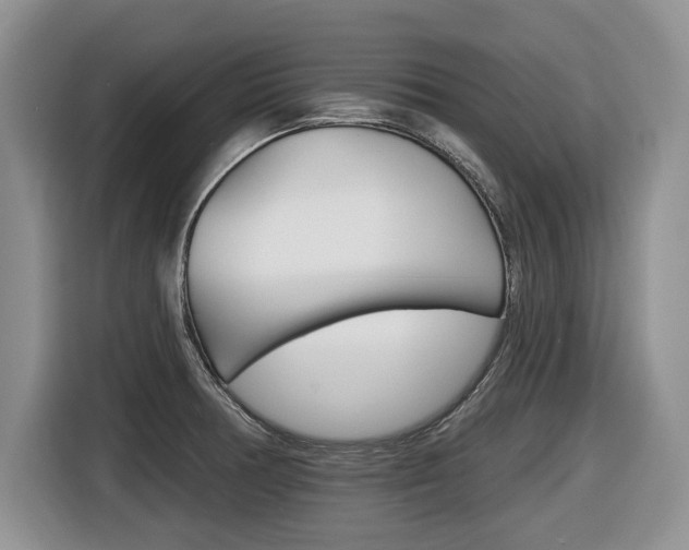 X0000116431378200912081212