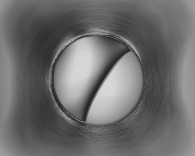 X0000116431379200912081212