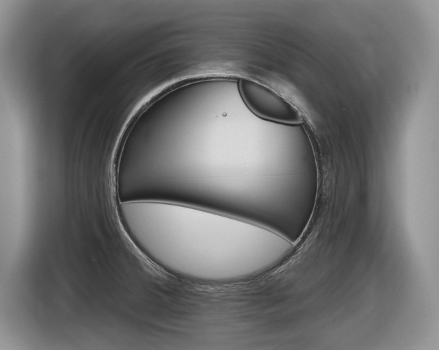 X0000116431380200912081212