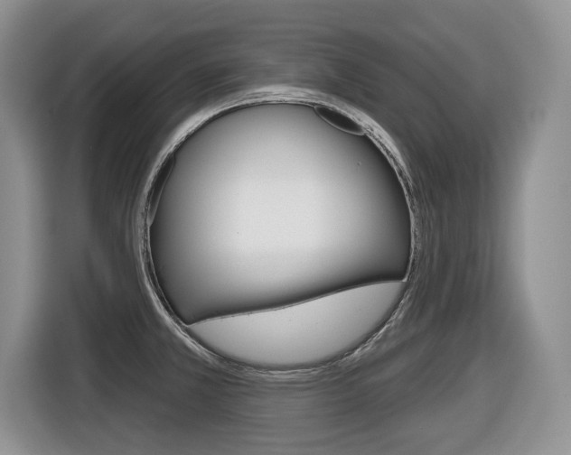 X0000116431381200912081212