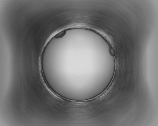 X0000116431382200912081212