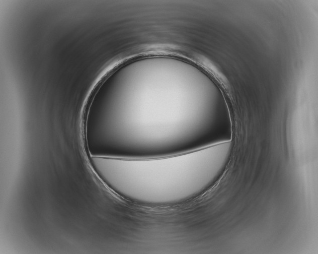 X0000116431384200912081212