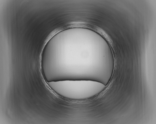 X0000116431386200912081212