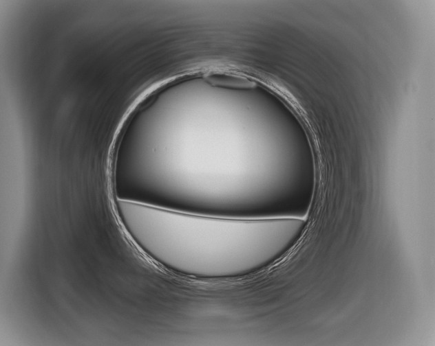 X0000116431392200912081212