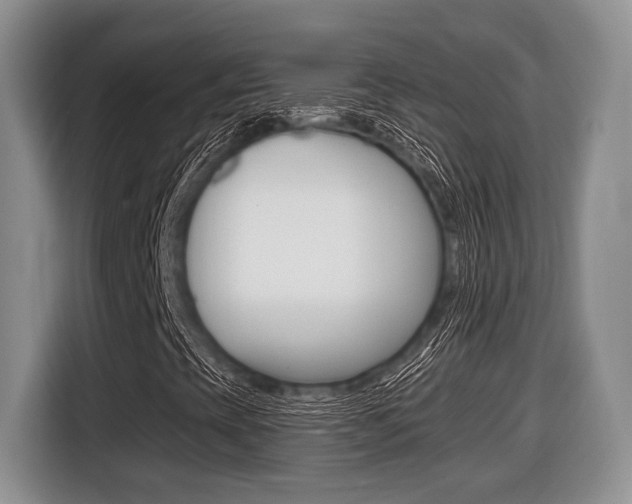 X0000116431393200912081211