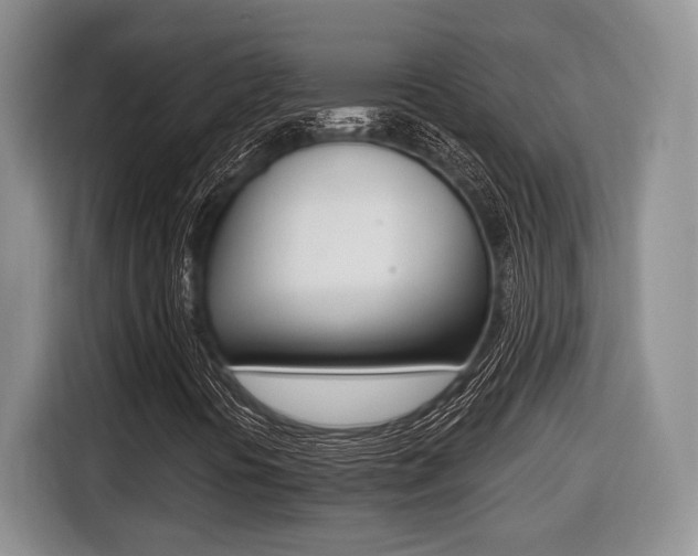 X0000116431394200912081211