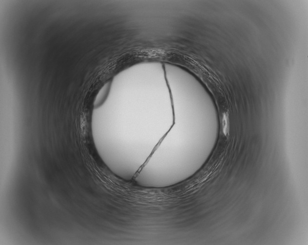 X0000116431395200912081211