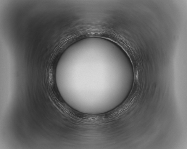 X0000116431396200912081211