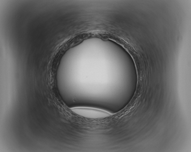 X0000116431398200912081211
