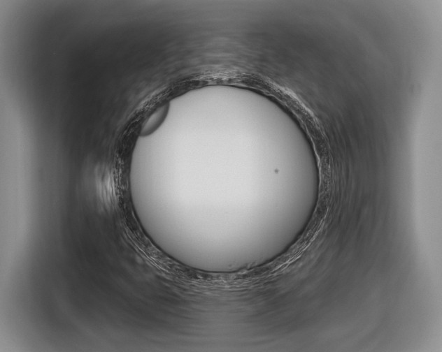 X0000116431399200912081211