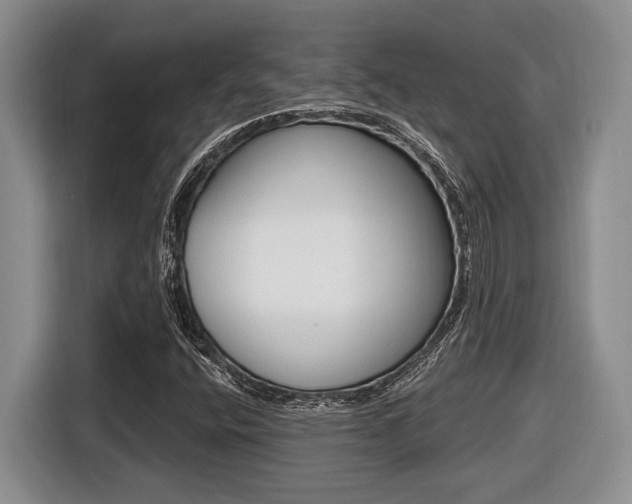 X0000116431400200912081211