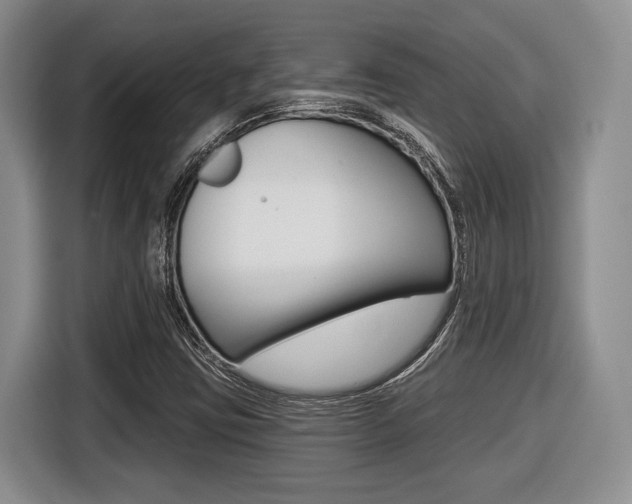 X0000116431403200912081211