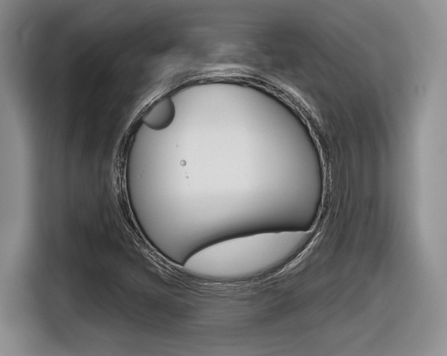 X0000116431405200912081211
