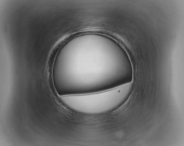 X0000116431406200912081211