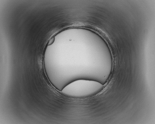 X0000116431409200912081211