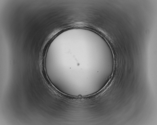 X0000116431410200912081211