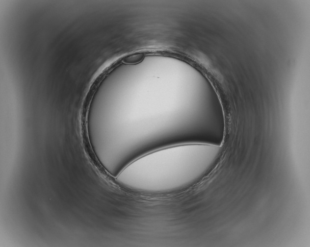 X0000116431412200912081211