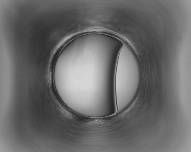 X0000116431414200912081211