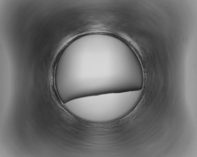 X0000116431415200912081211