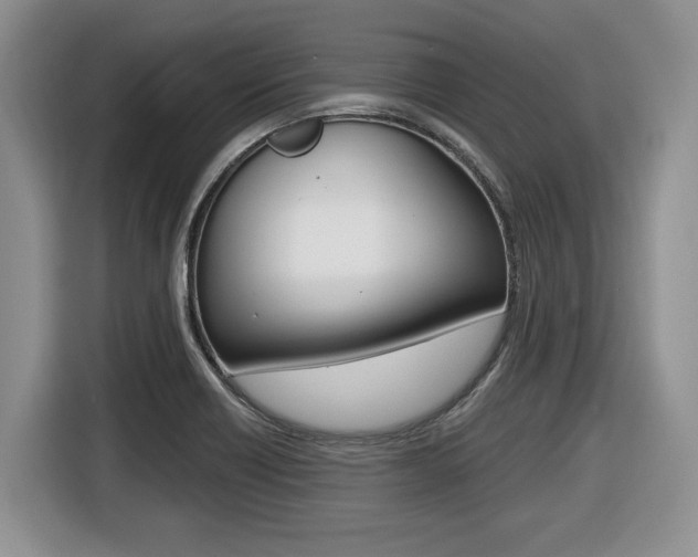 X0000116431418200912081211
