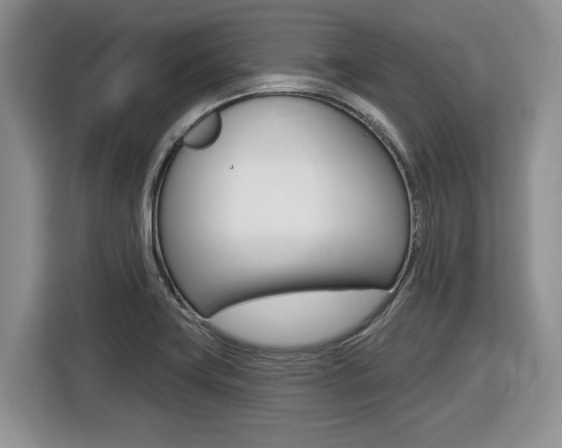 X0000116431419200912081211