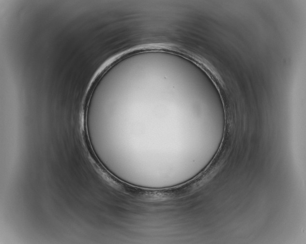 X0000116431420200912081211