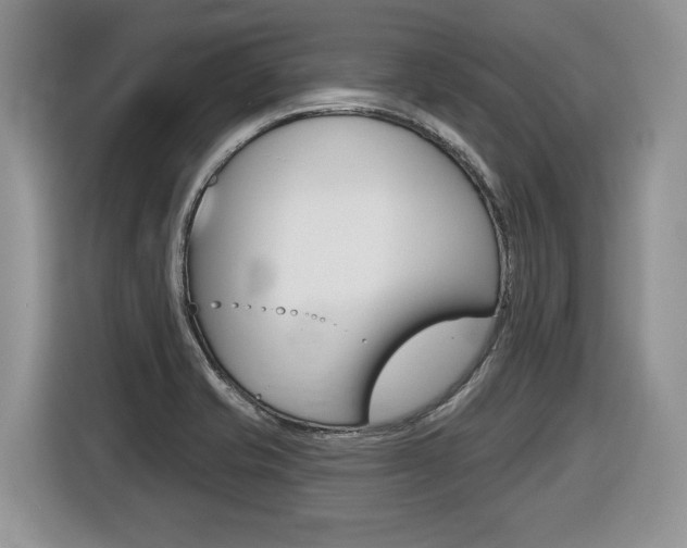 X0000116431421200912081211