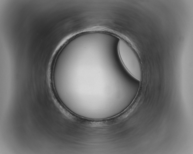 X0000116431422200912081211
