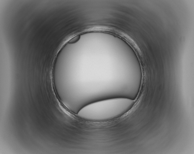 X0000116431425200912081211