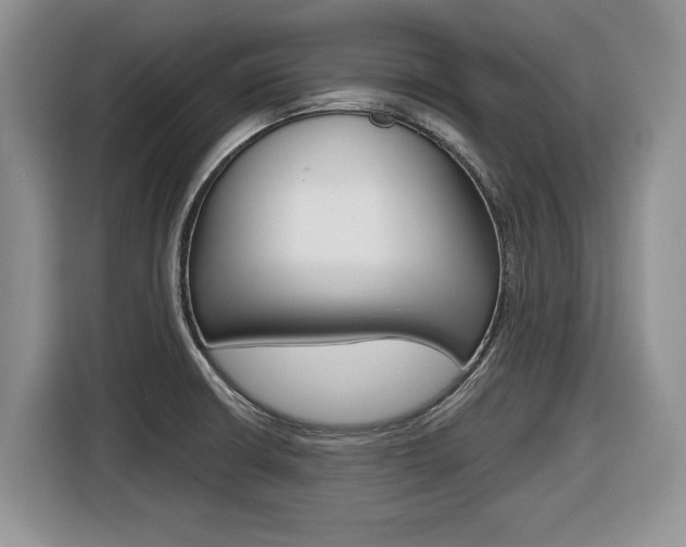 X0000116431426200912081211