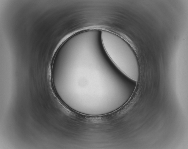 X0000116431428200912081211