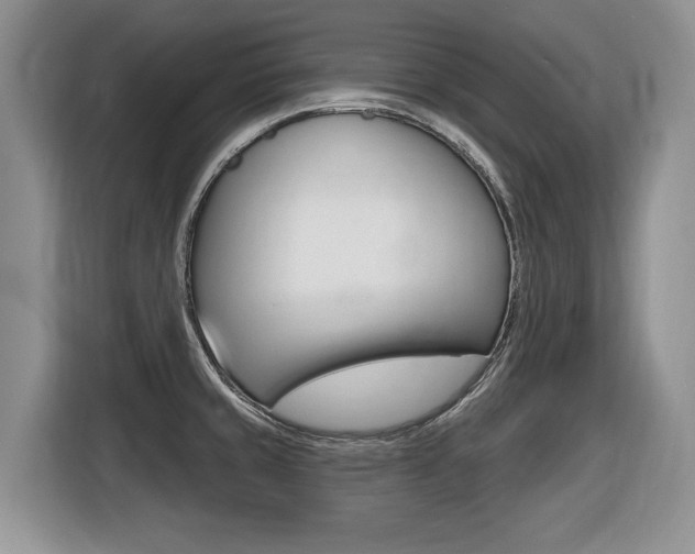X0000116431429200912081211