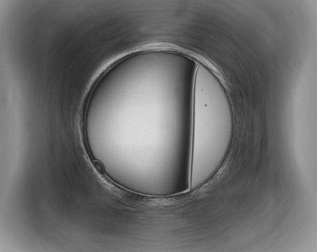 X0000116431430200912081211