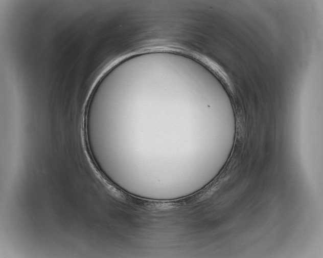 X0000116431431200912081211