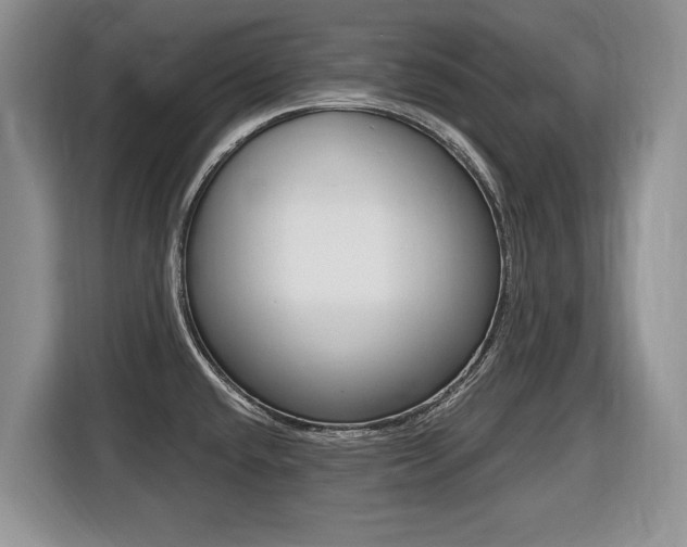 X0000116431432200912081211