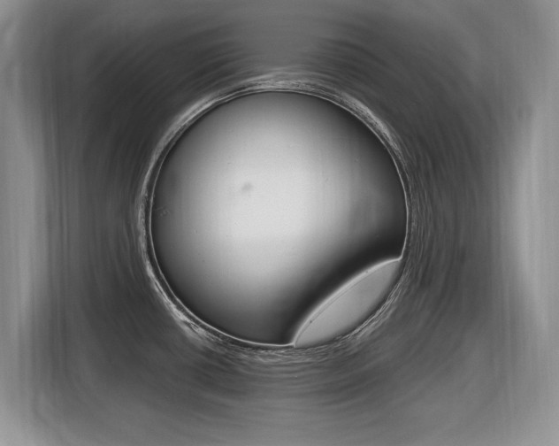 X0000116431434200912081211