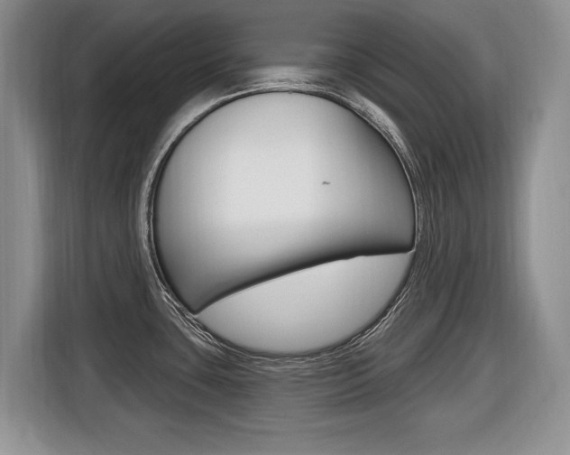 X0000116431435200912081211