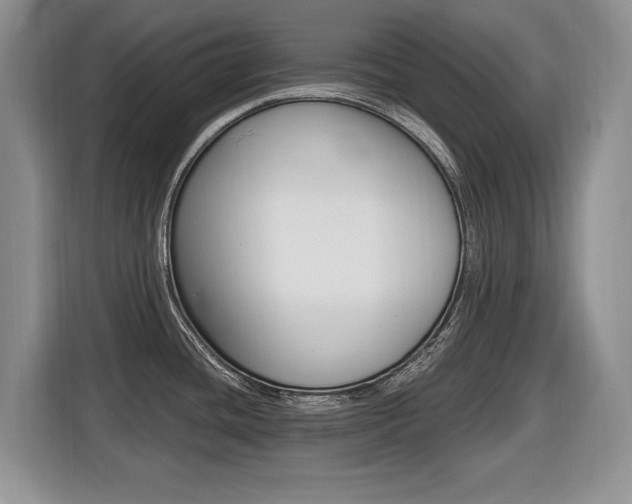 X0000116431436200912081211
