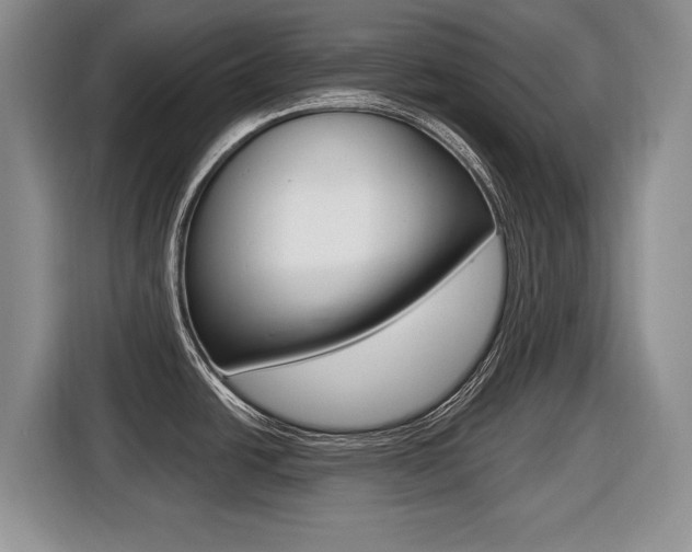 X0000116431438200912081211